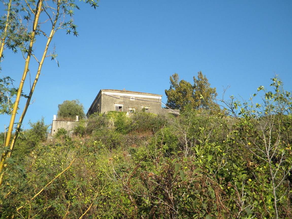 DSCN8069 .JPG